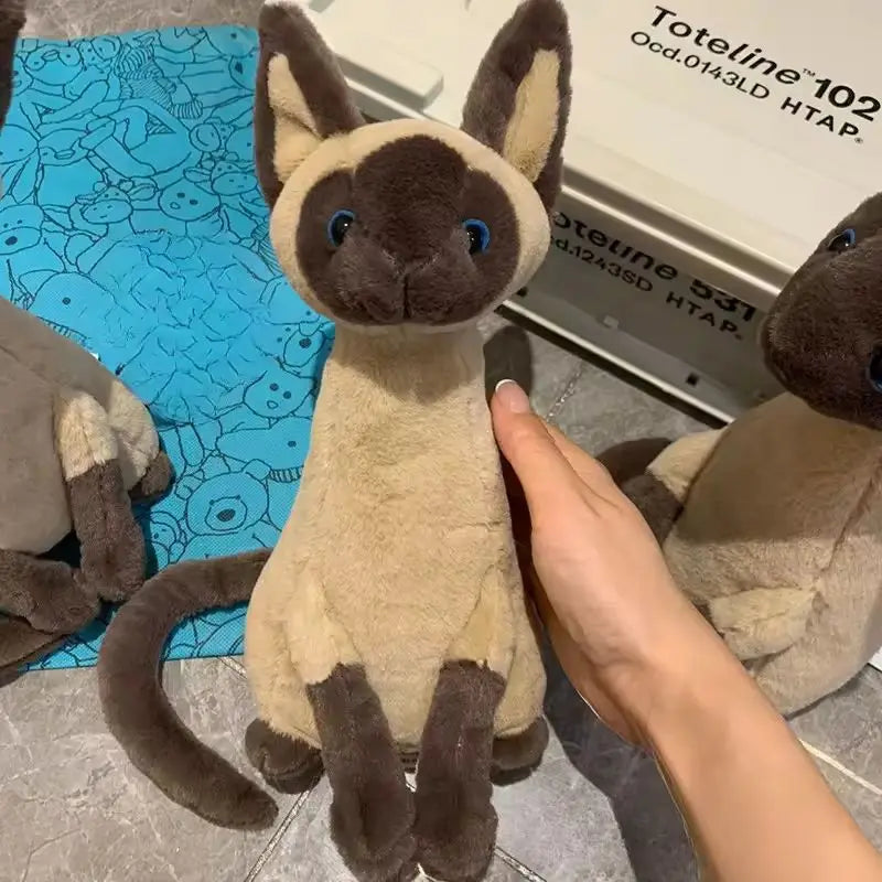 Jellycat with tags Spot Siamese cat cute plush toy baby company soothing doll give friend birthday holiday gift stuffed animal