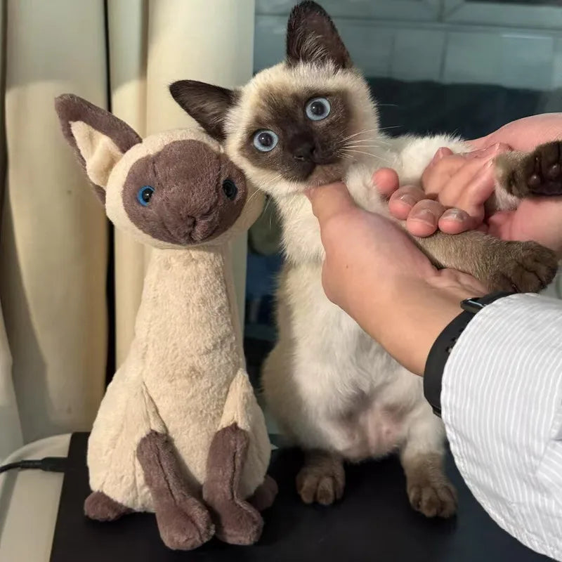 Jellycat with tags Spot Siamese cat cute plush toy baby company soothing doll give friend birthday holiday gift stuffed animal